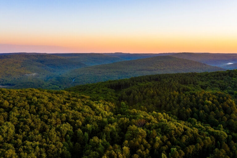 Fayetteville Neighborhood Guide Fayetteville Towing Service PROS